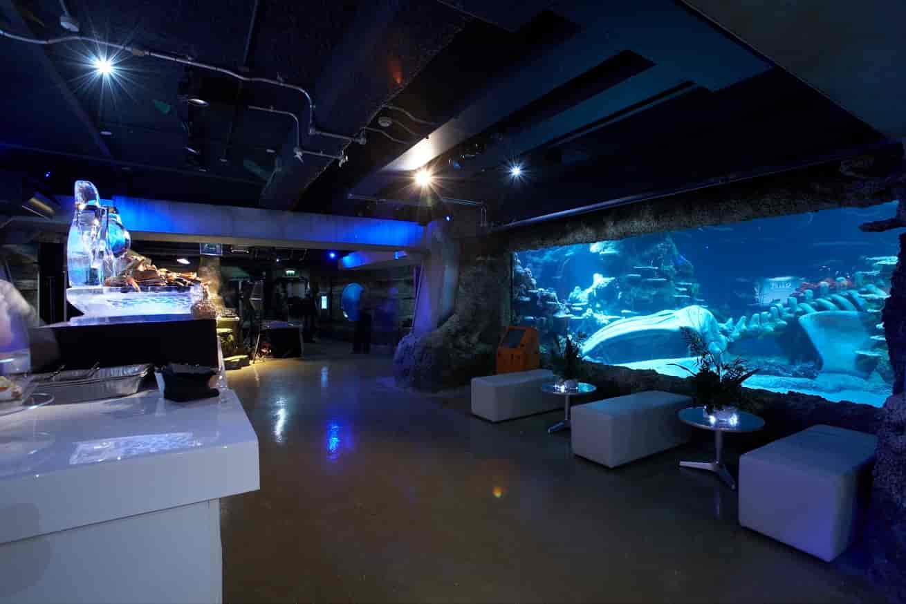 SEA LIFE London Aquarium - image