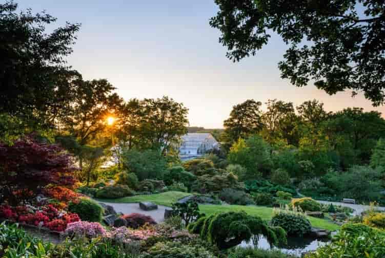 RHS Garden Wisley - image