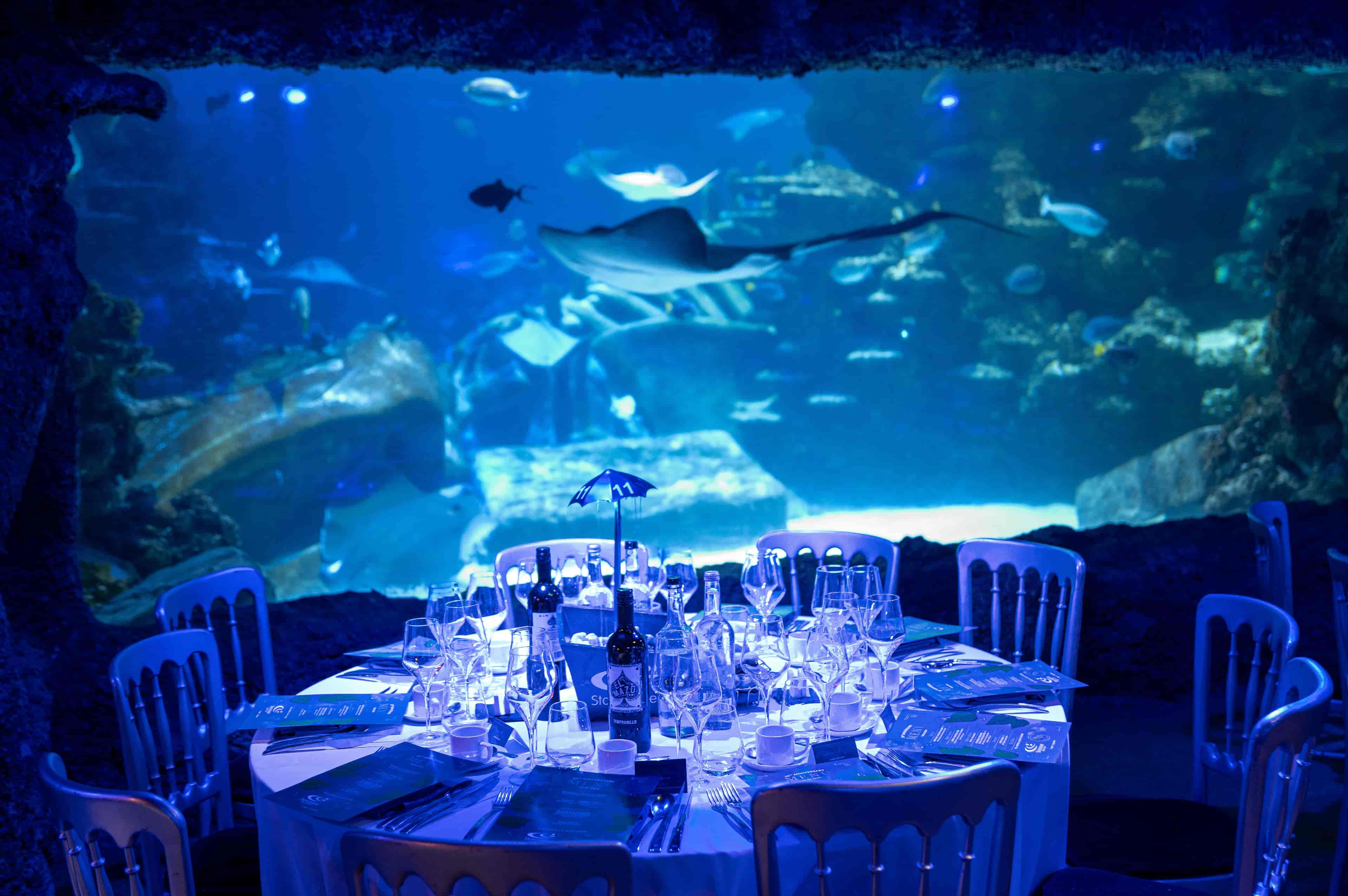 SEA LIFE London Aquarium - image