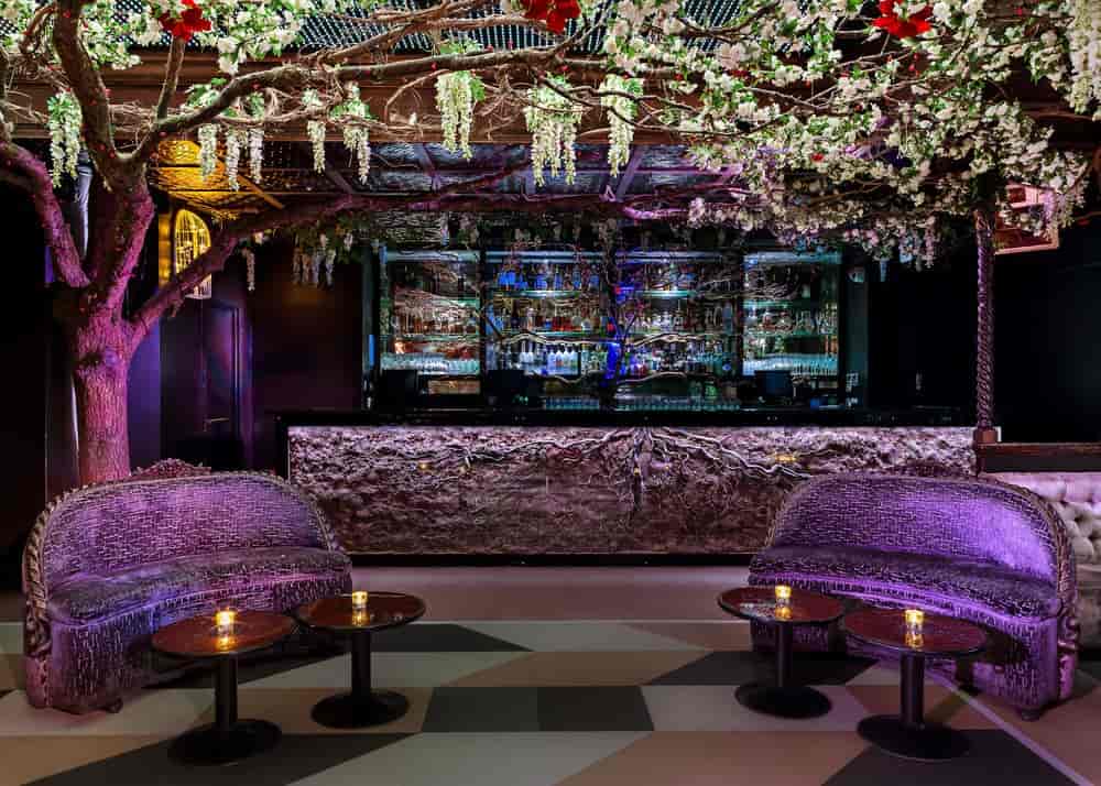 The Cuckoo Club - image
