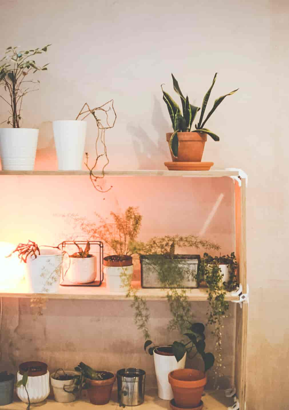 ARK coworking - image