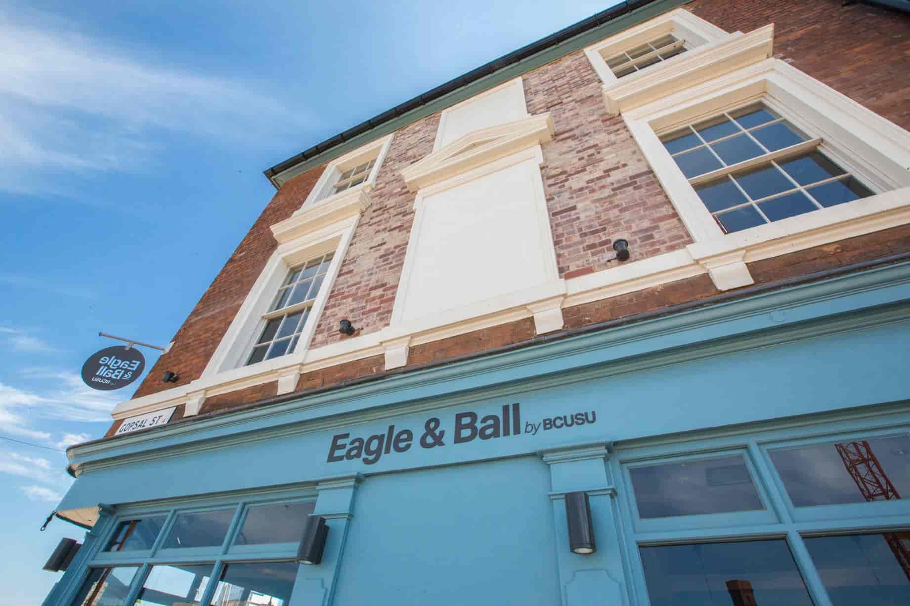 Eagle and Ball - image