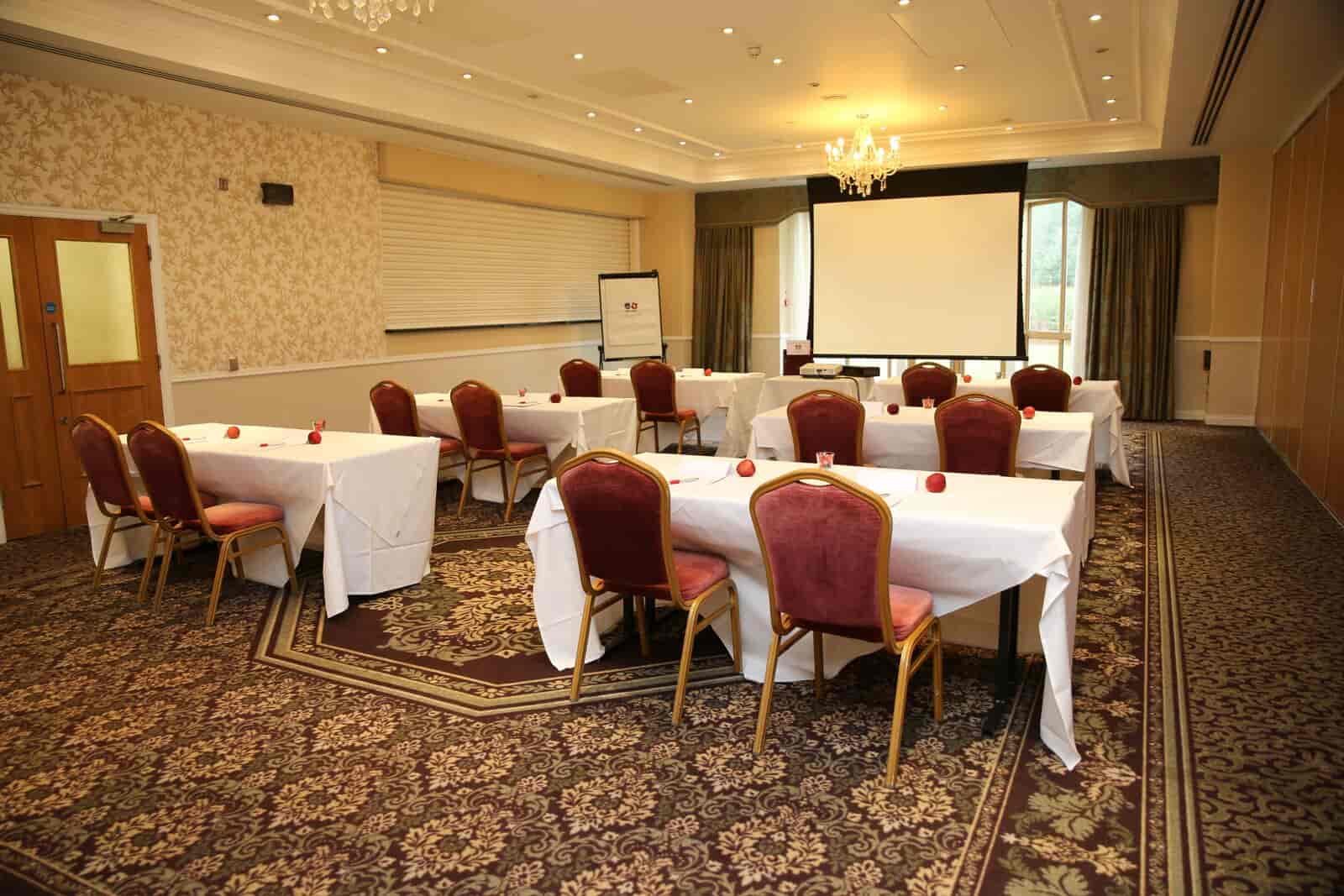 Shendish Manor Hotel - image