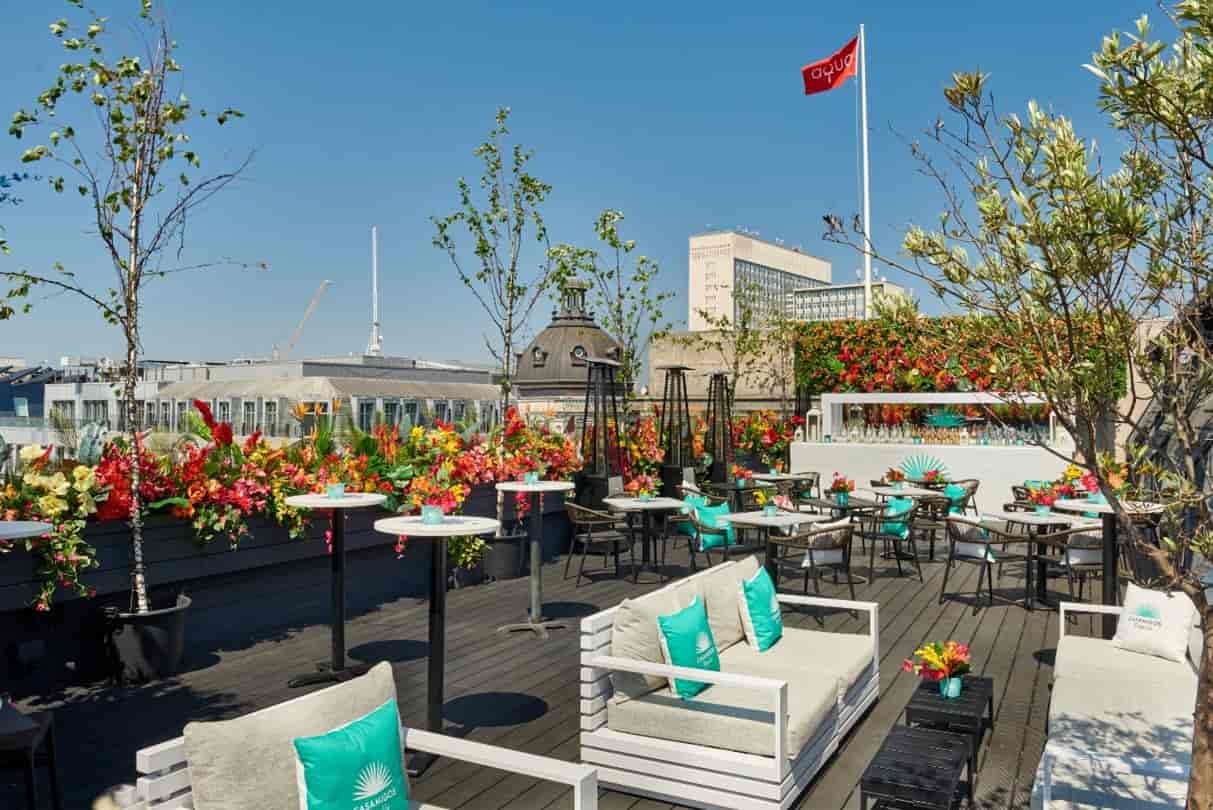 Aqua Nueva - image