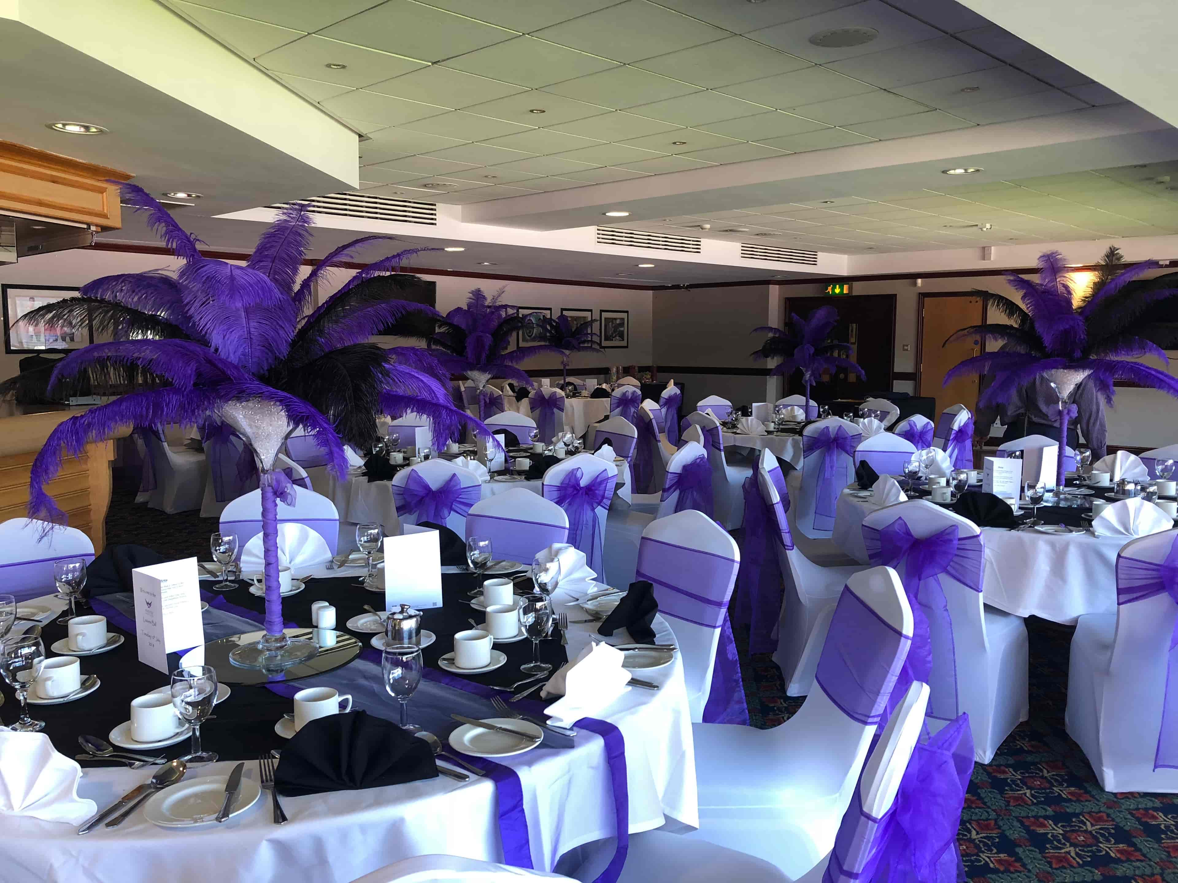 The DW Stadium - image