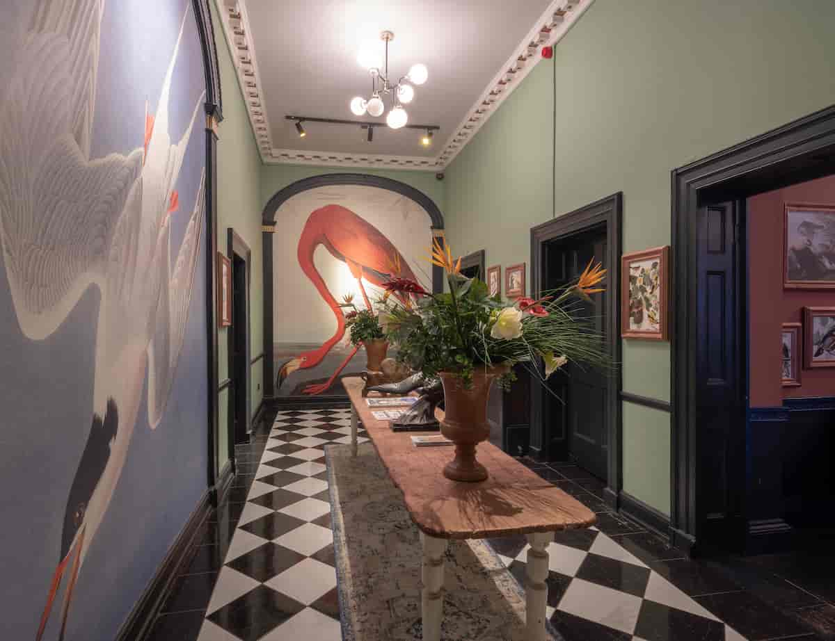 Royal Institution - image