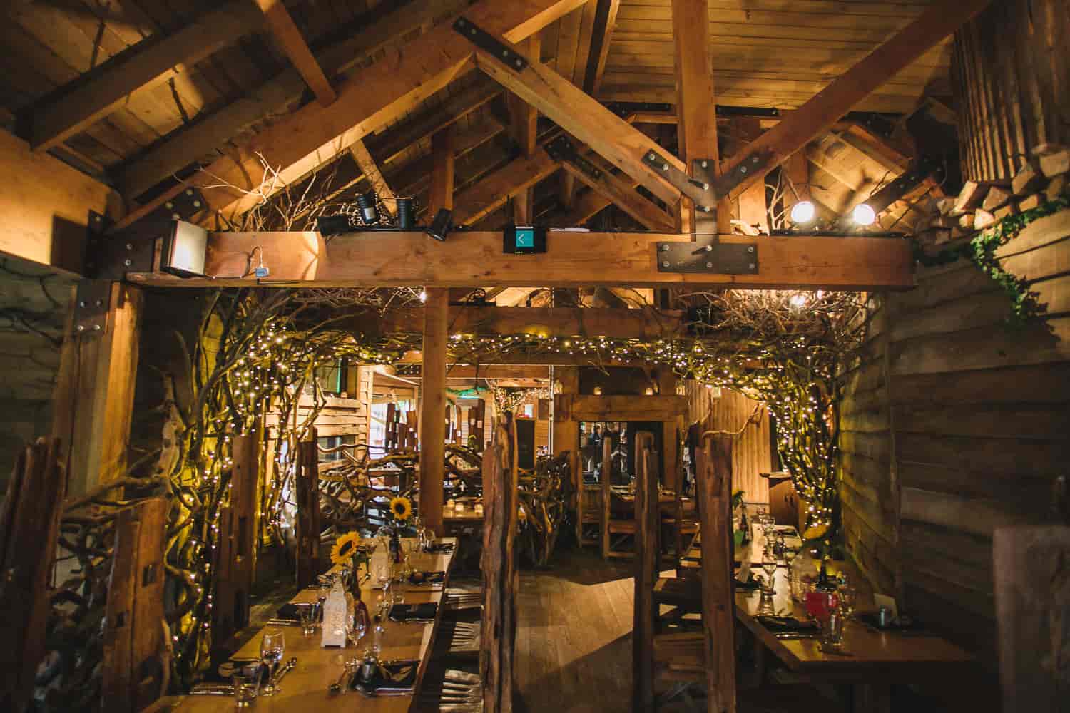Treehouse at The Alnwick Garden - image