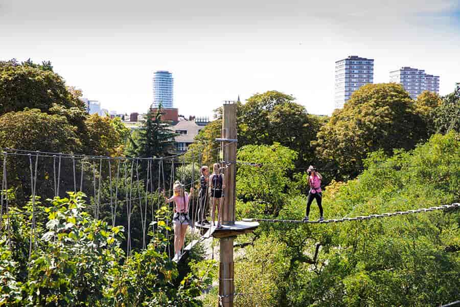 Go Ape - Battersea - image