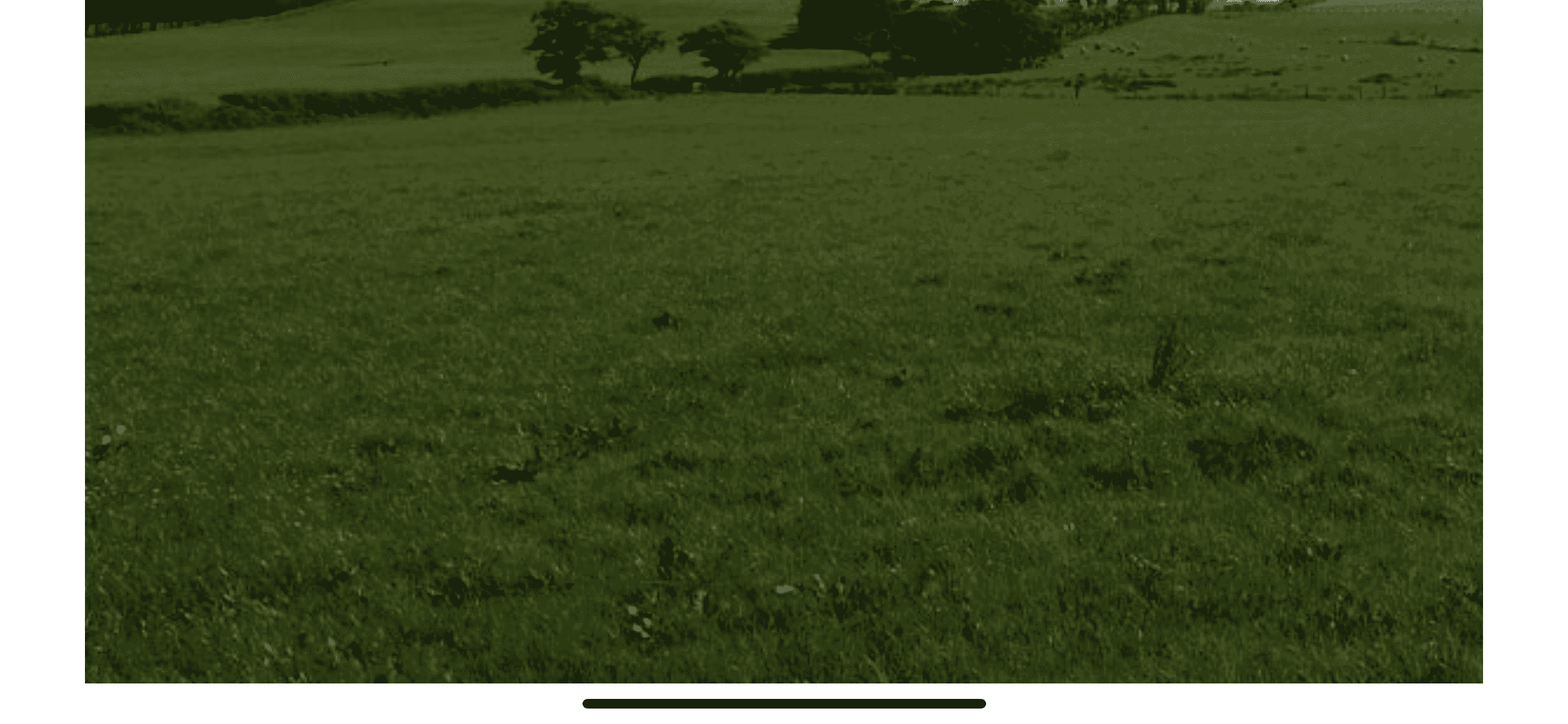 Wyresdale  - image