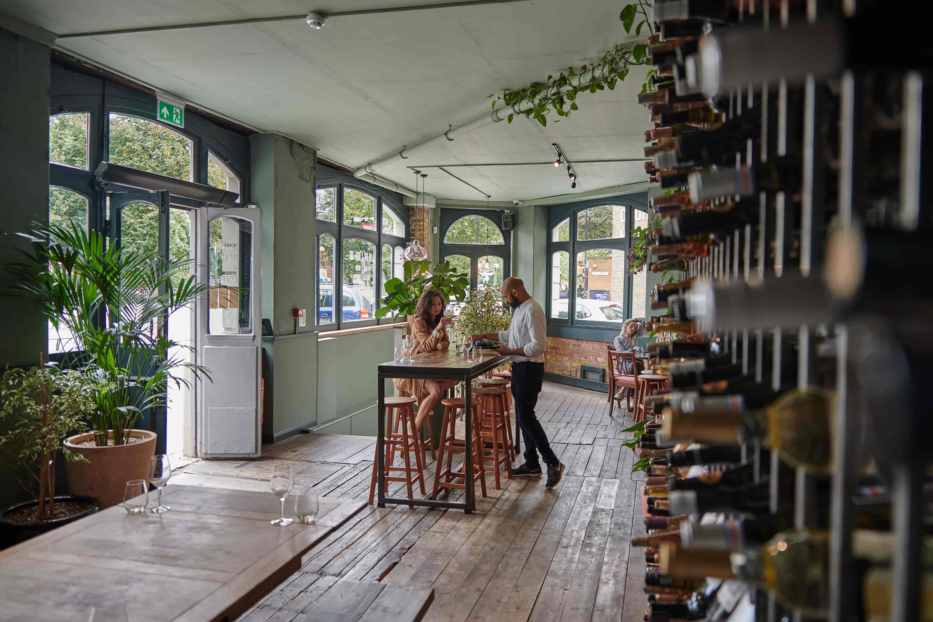 Diogenes the Dog - image