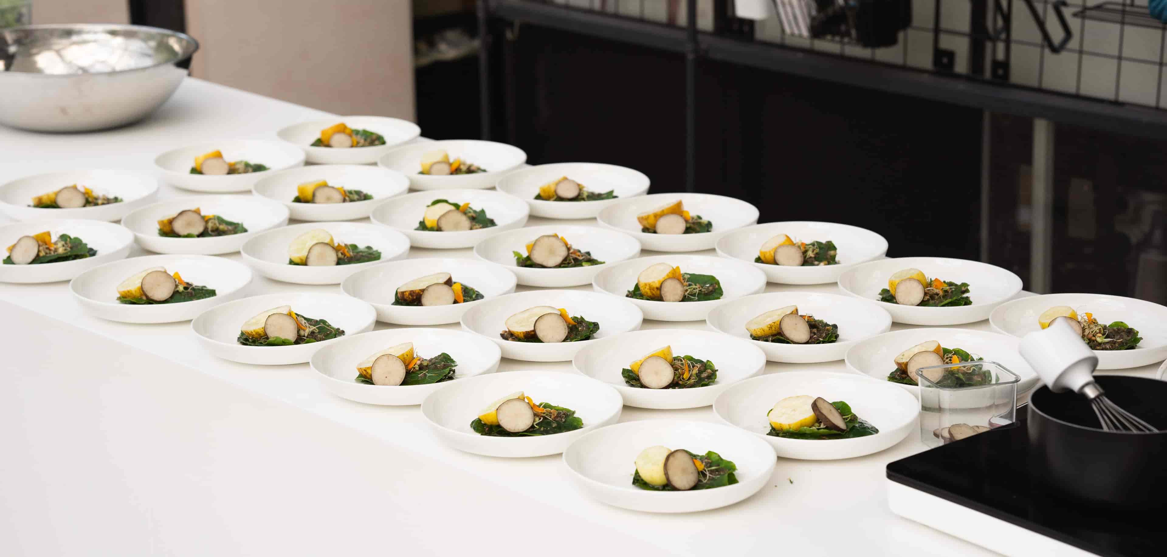 Omved Gardens - image