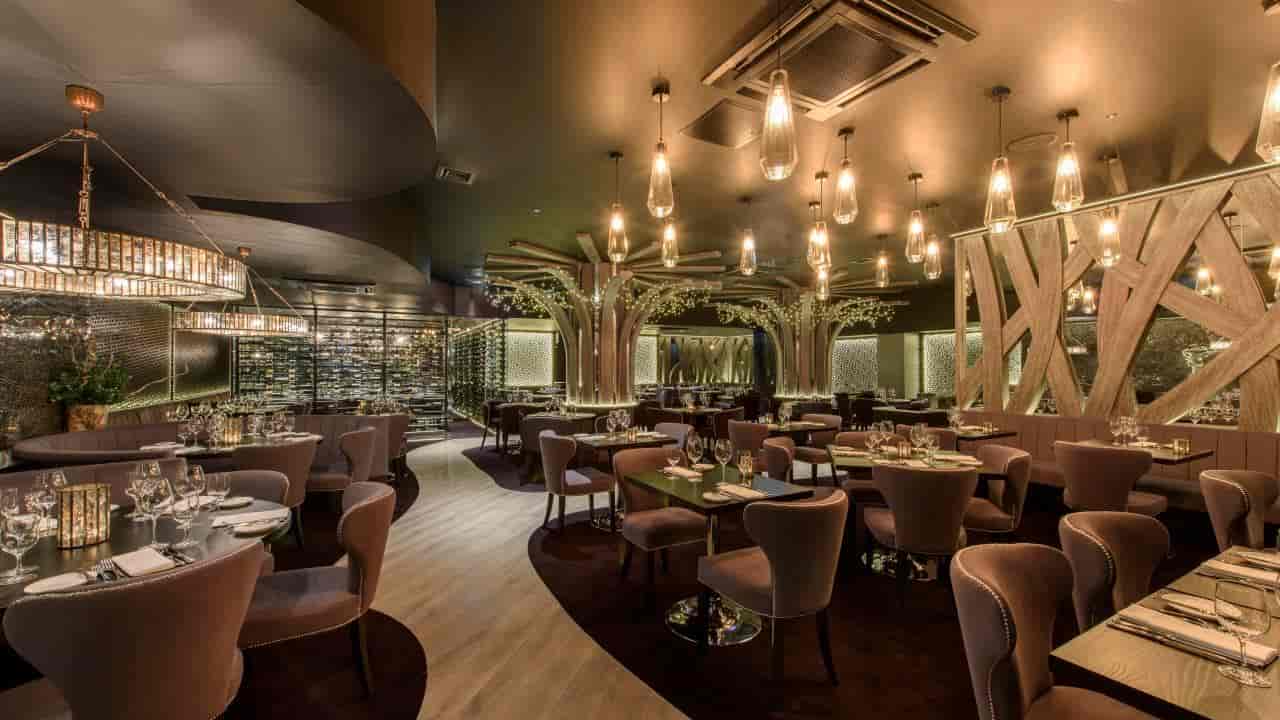 Birmingham (Gaucho) - image