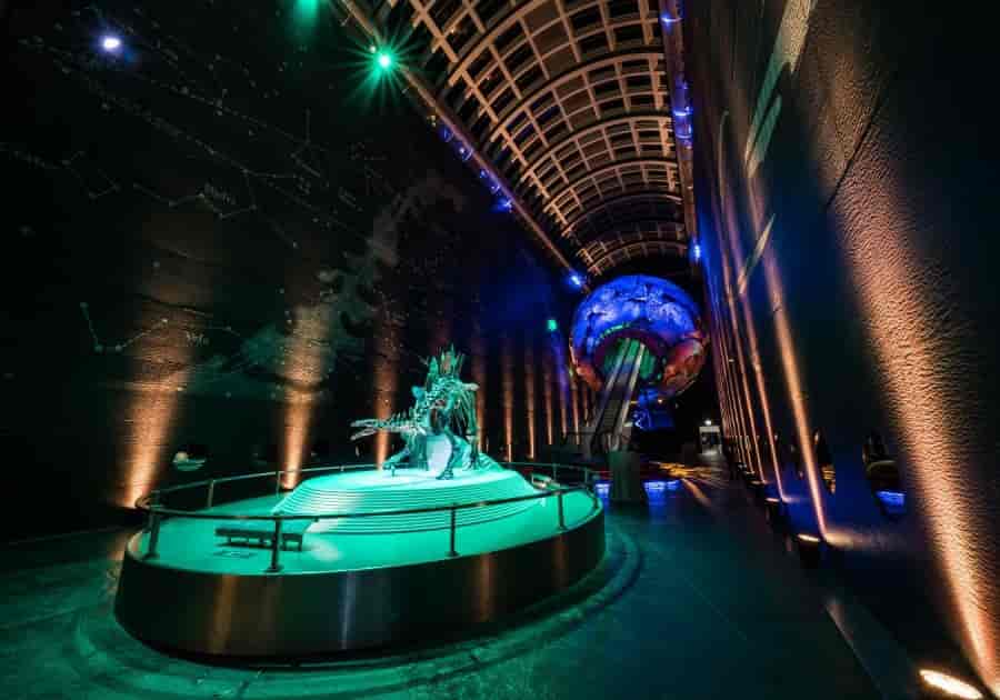 Natural History Museum (London) - image