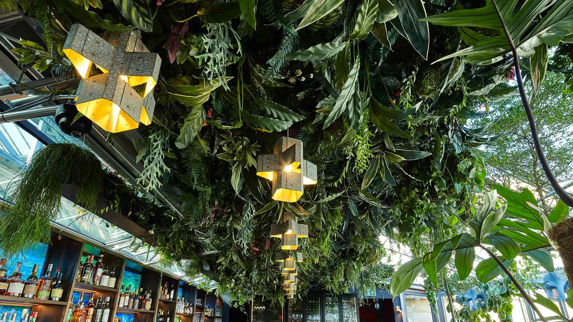 SUSHISAMBA Covent Garden - image