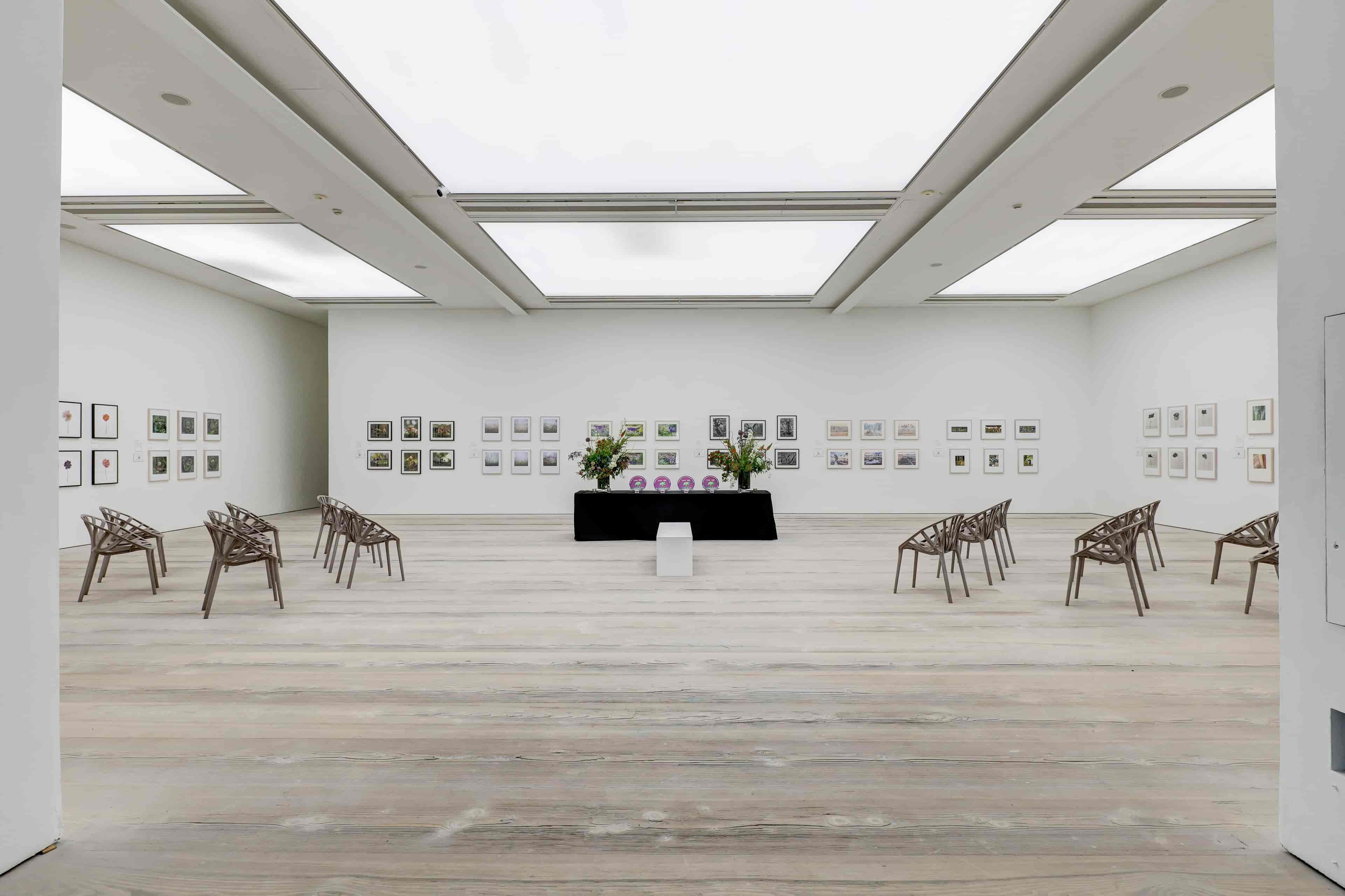 Saatchi Gallery - image