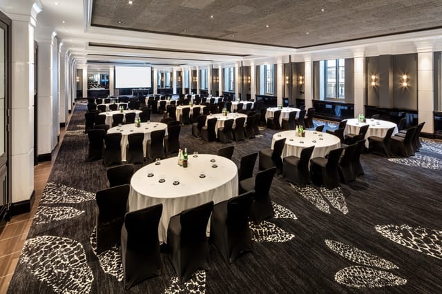 Halle Suite  - image