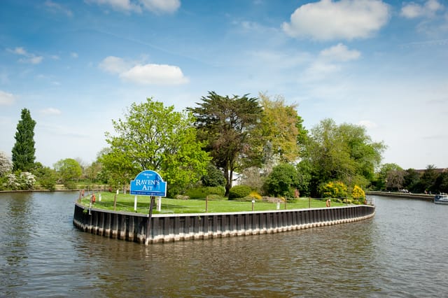 The Marquee & Front Lawns - image
