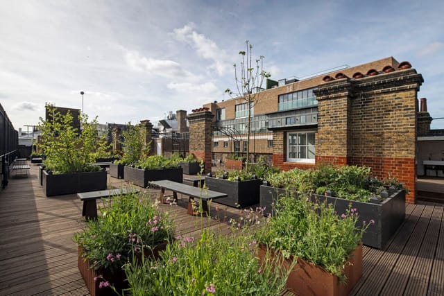 Roof Top Garden  - image