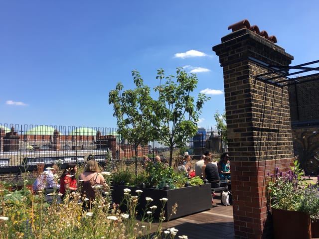 Roof Top Garden  - image