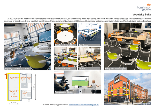 Vygotsky Suite - image