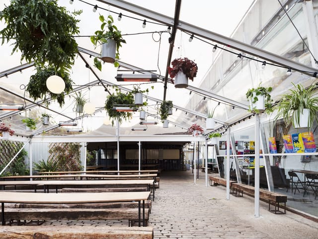 Palm House - image