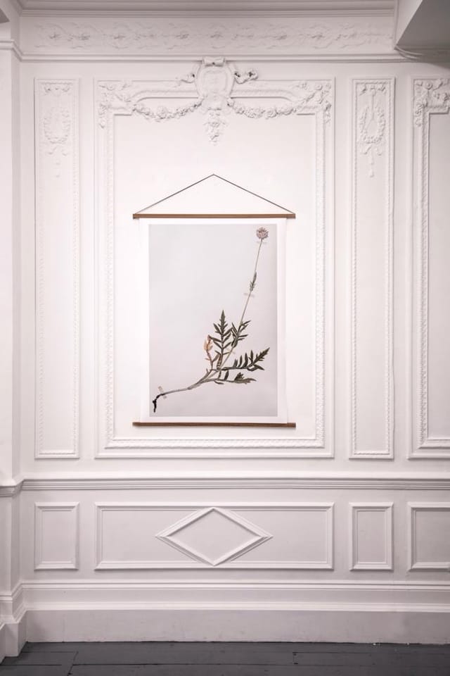 Saint George Street - image