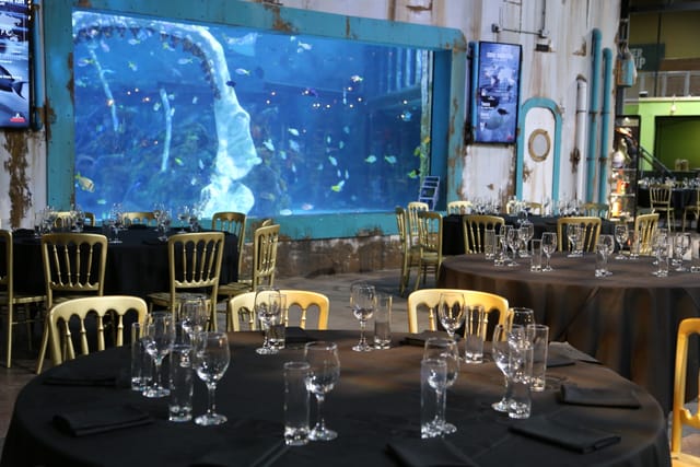 The Bear Grylls Adventure - image