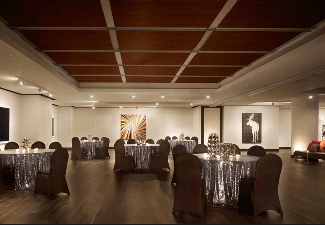 Picasso Pre-Function - image