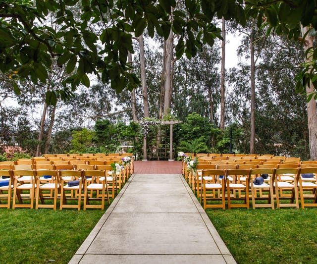 Outdoor Garden - image