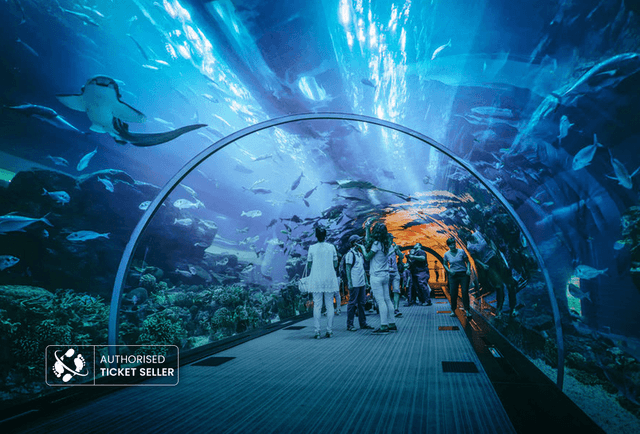 Underwater Zoo - image