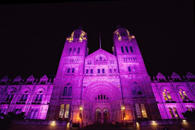 Hintze Hall - image