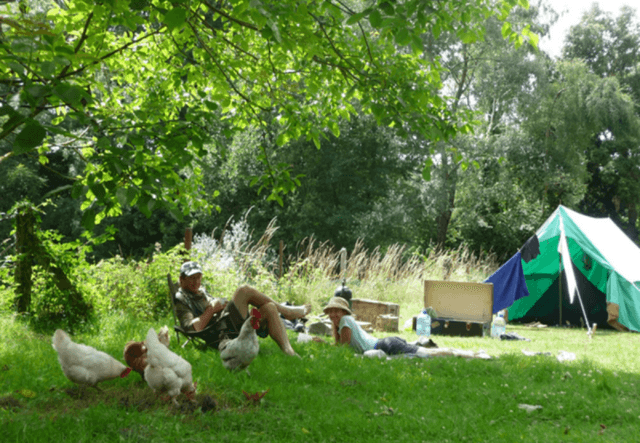 Garden - image