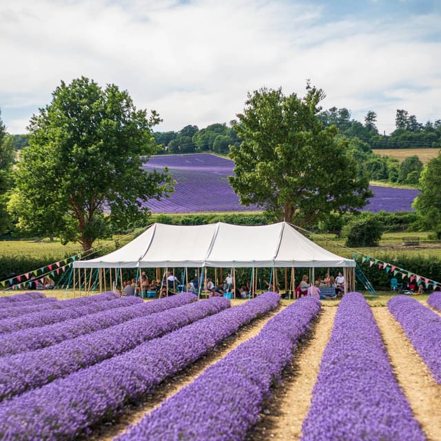 Farm - image