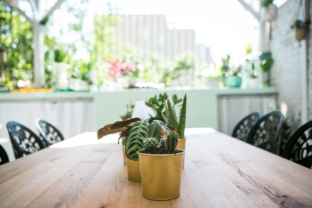 Al Fresco BBQ Garden  - image