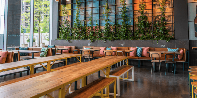 Elevated Level - image