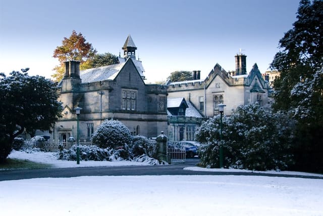 Cottage - image