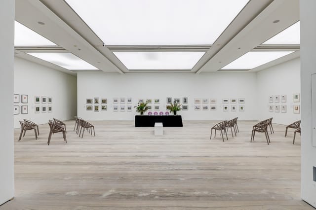 Gallery Three - image