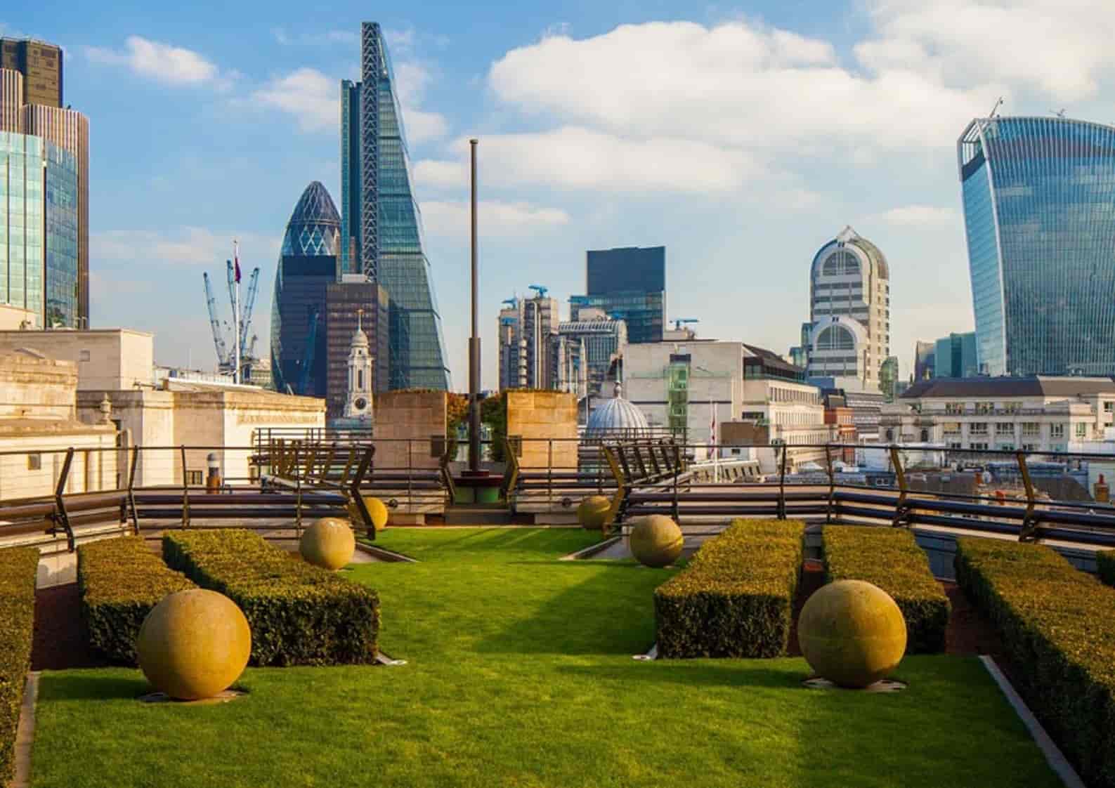 Coq d'Argent - image