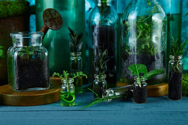 Terranium bottles