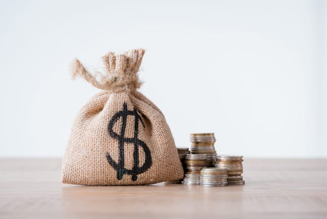 Straw money bag with dollar sign and coins