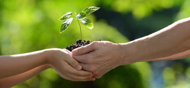 two peoples hands holding a sapling in palms