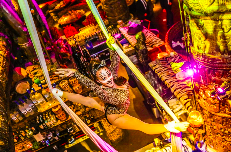Aerial Performer