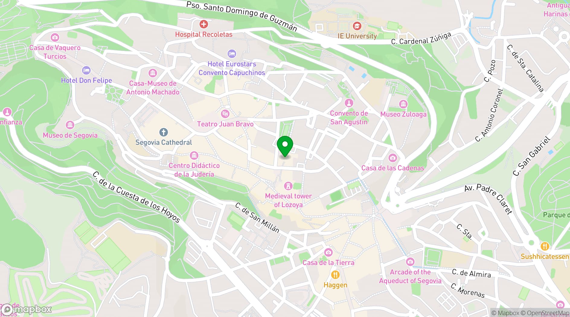 Map showing Museo de Arte Contemporáneo Esteban Vicente