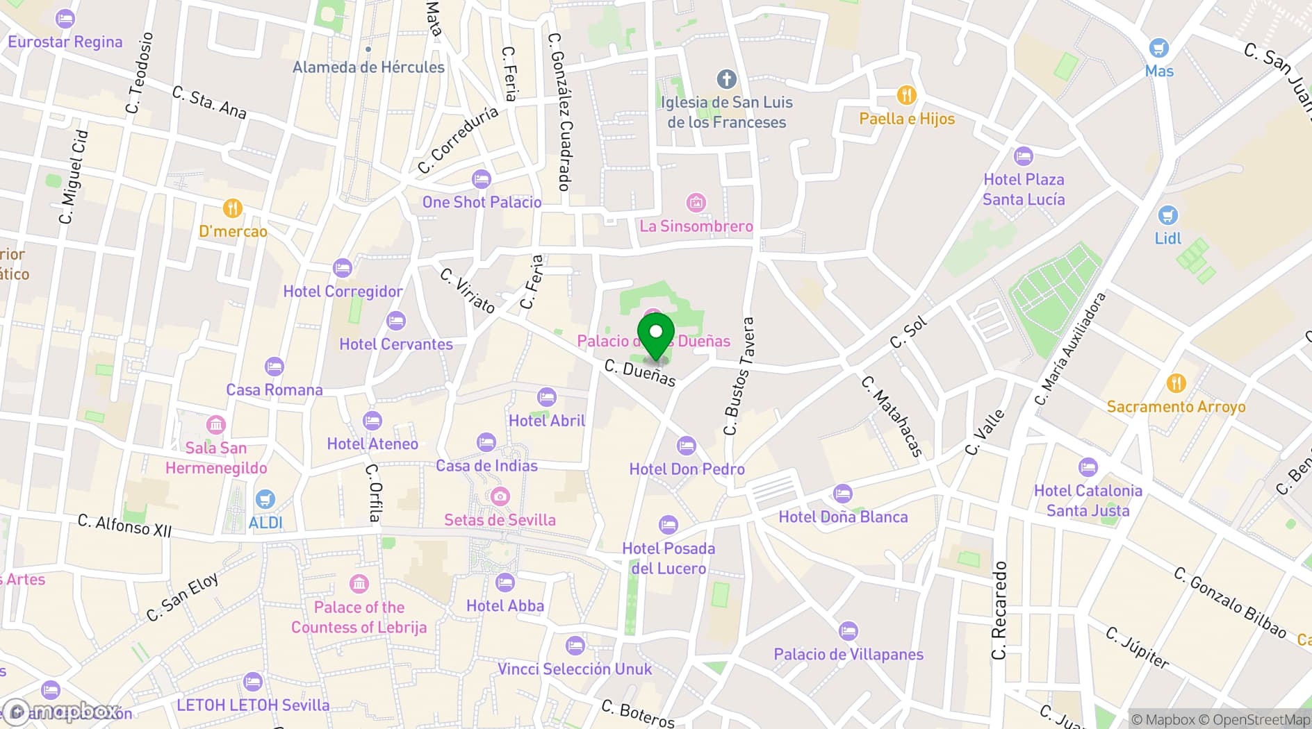 Map showing Palacio de las Dueñas