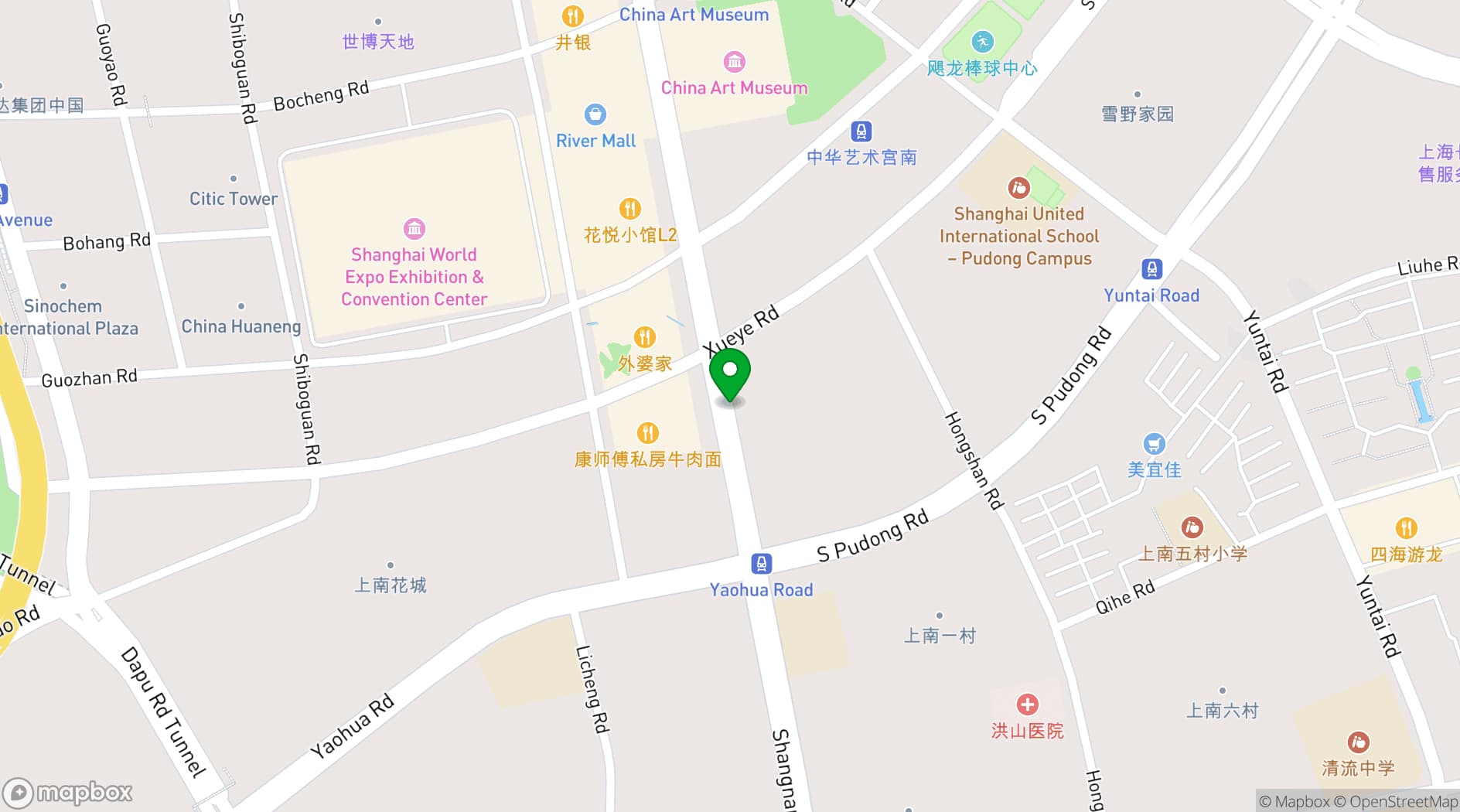 Map showing Shanghai World Expo Exhibition & Convention Center