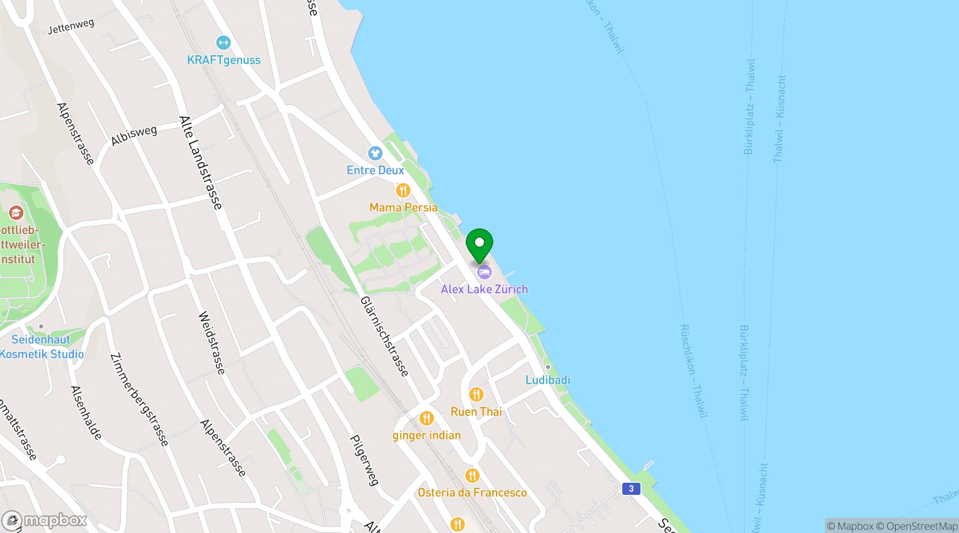 Map showing Alex Lake Zürich