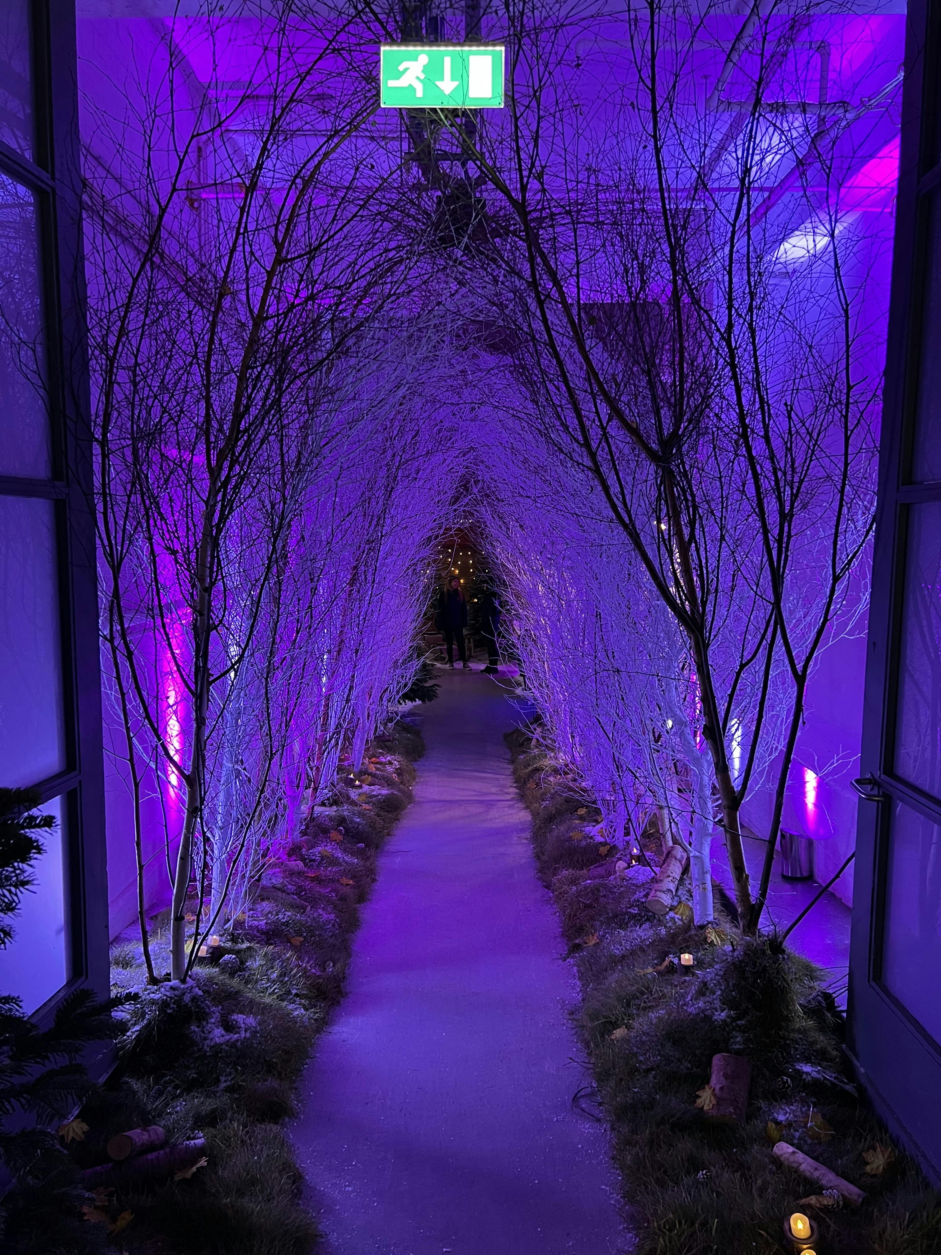 Enchanting event entrance with illuminated branches at The Vinyl Factory Soho.