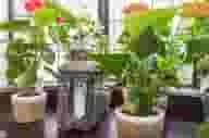 Party Venues
