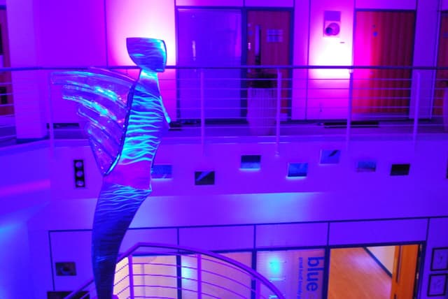 The Ark Conference Centre