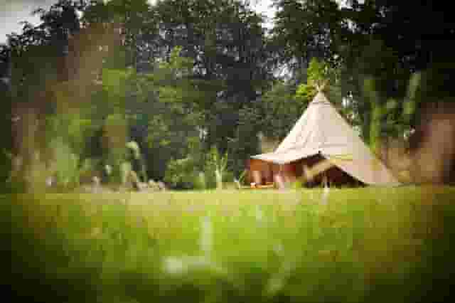 Forest Tepee